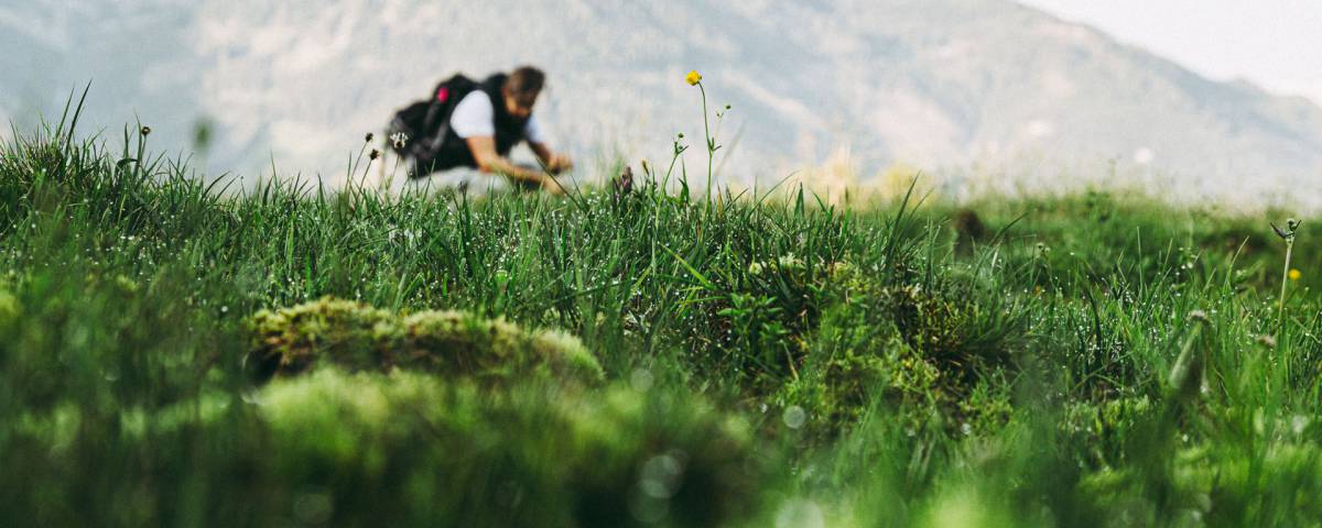 Aktiv Wandern Alm Pongau