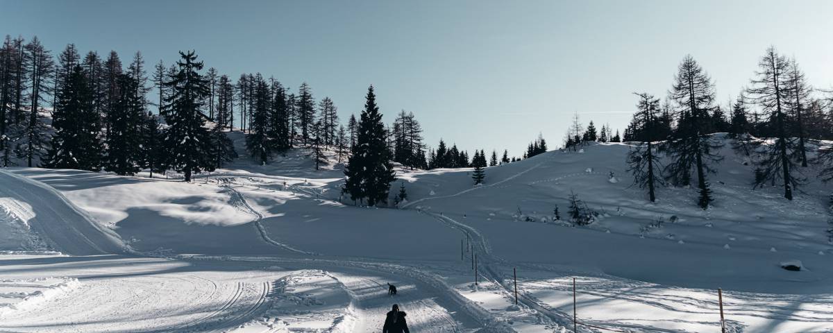 Aktiv Winterwandern Pongauer Bergwelt