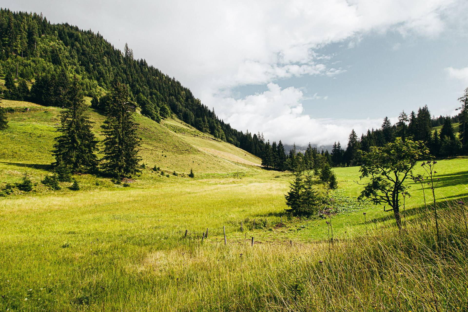 Fruehling Pongauer Bergwelt