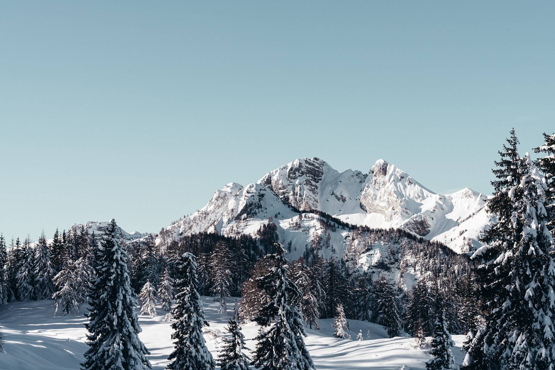Holidays between peak enjoyment and summit experience - Sonnhof by Vitus Winkler