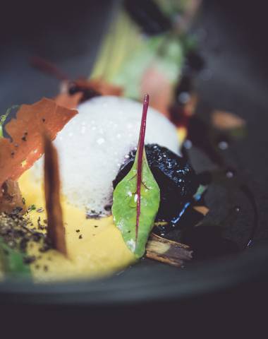 Vitus Cooking Karottenfeld