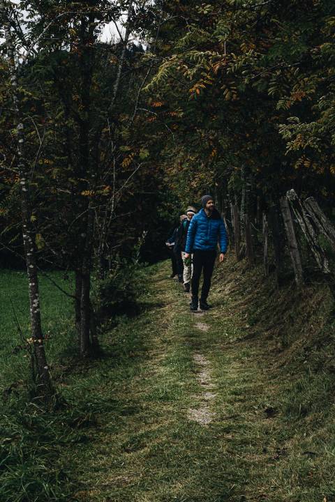 Kräuterspaziergang mit Vitus Winkler image