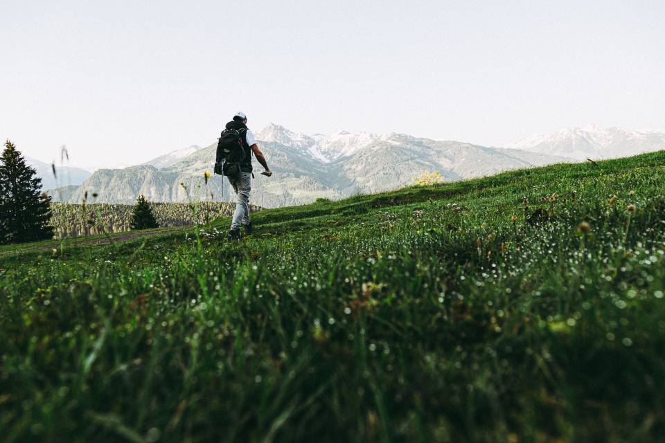 Wild herb rambles with a gourmet chef: Vitus Winkler on your summer holiday in Salzburgerland - Sonnhof by Vitus Winkler