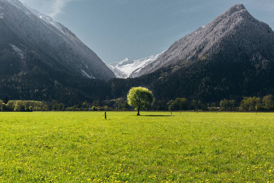 Frühling Pongauer Bergwelt