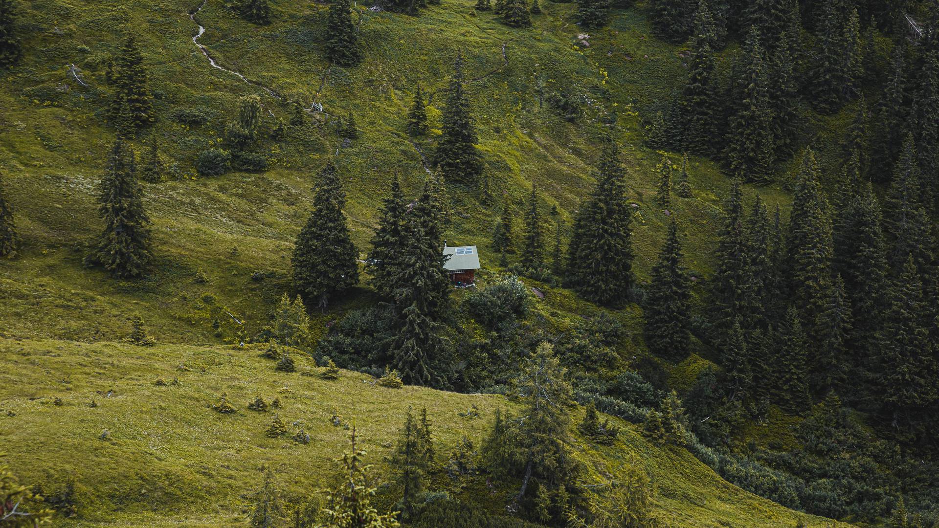 Sommer Pongauer Bergwelt
