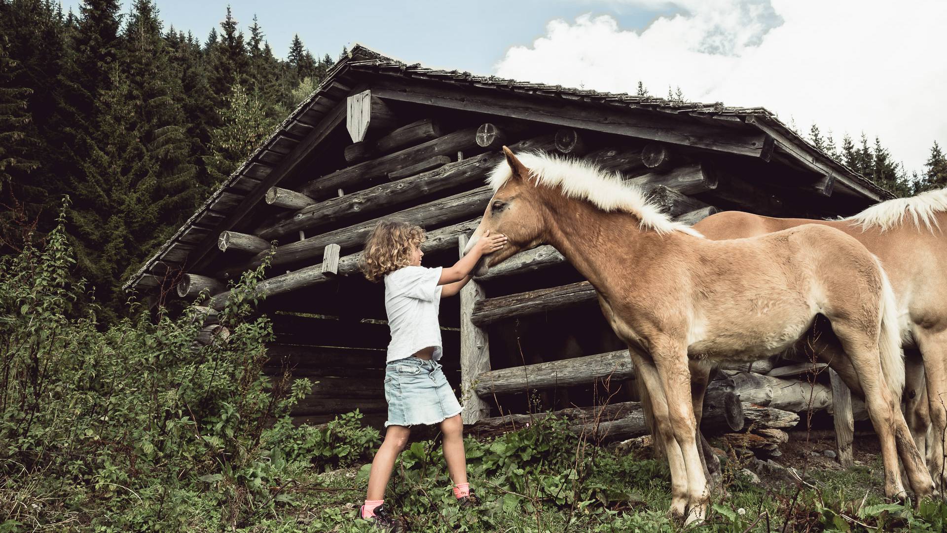 Kind Pferd Fohlen Wandern Hütte