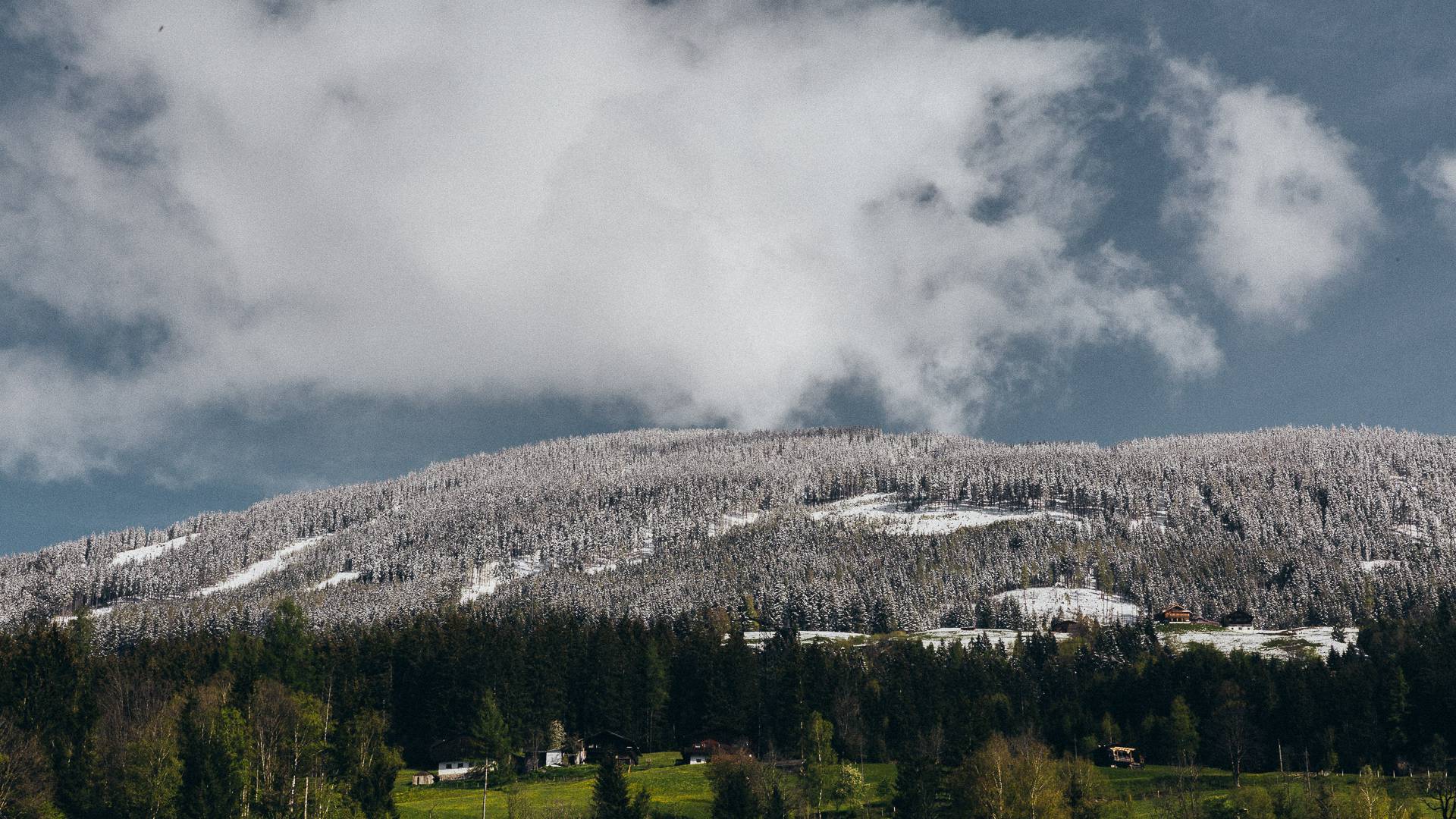 Bergwelt Pongau Frühling