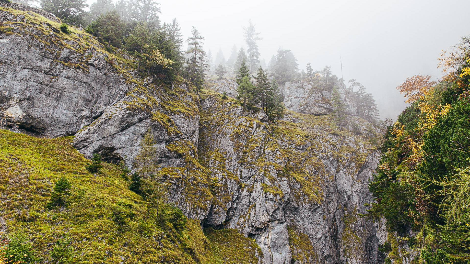 Berge Pongau Nebel