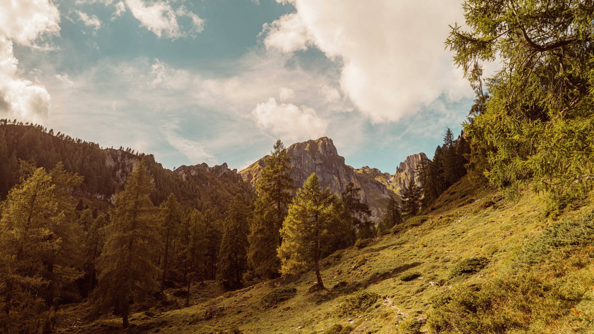 Pongauer Bergwelt Herbst